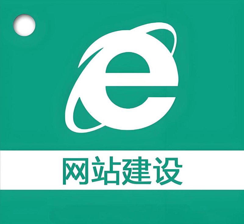系统集成在企业信息化中的关键作用